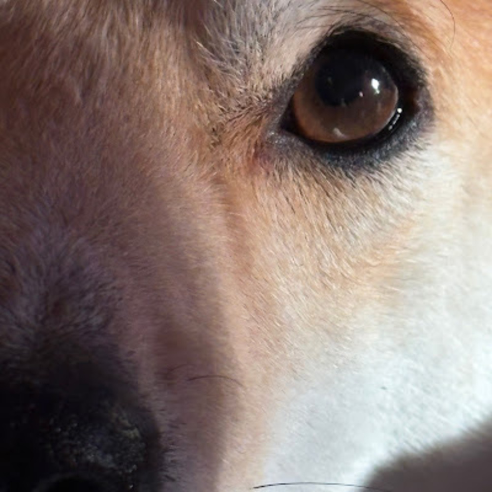 Meet your Posher, Lynn